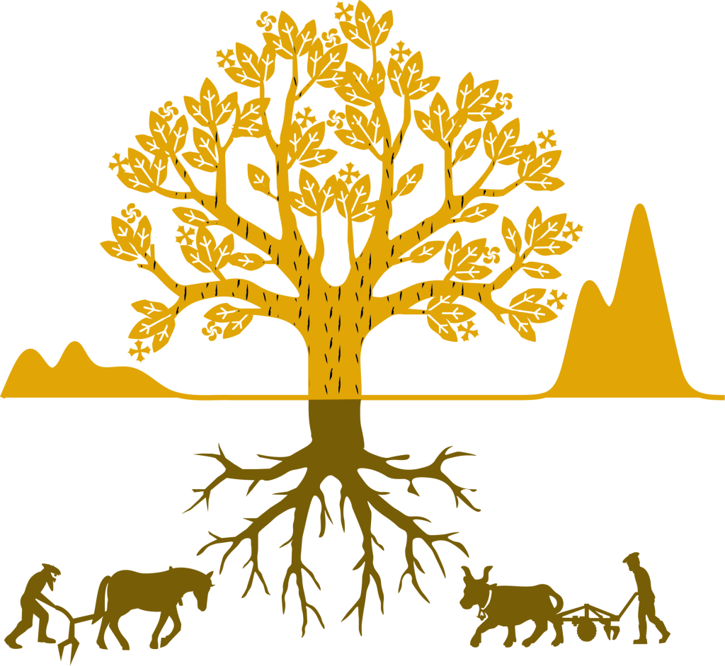 Motif